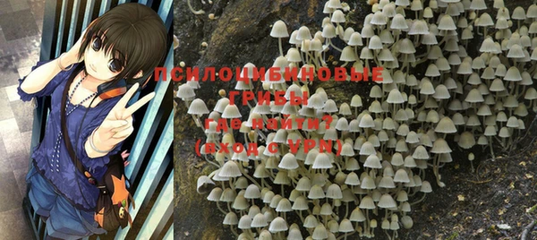 первитин Богданович