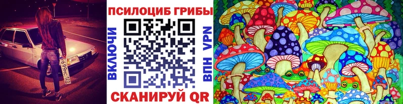 Псилоцибиновые грибы Psilocybine cubensis Ивдель